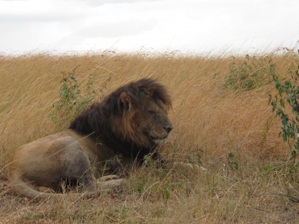 Kenya med Løvenskiold 020